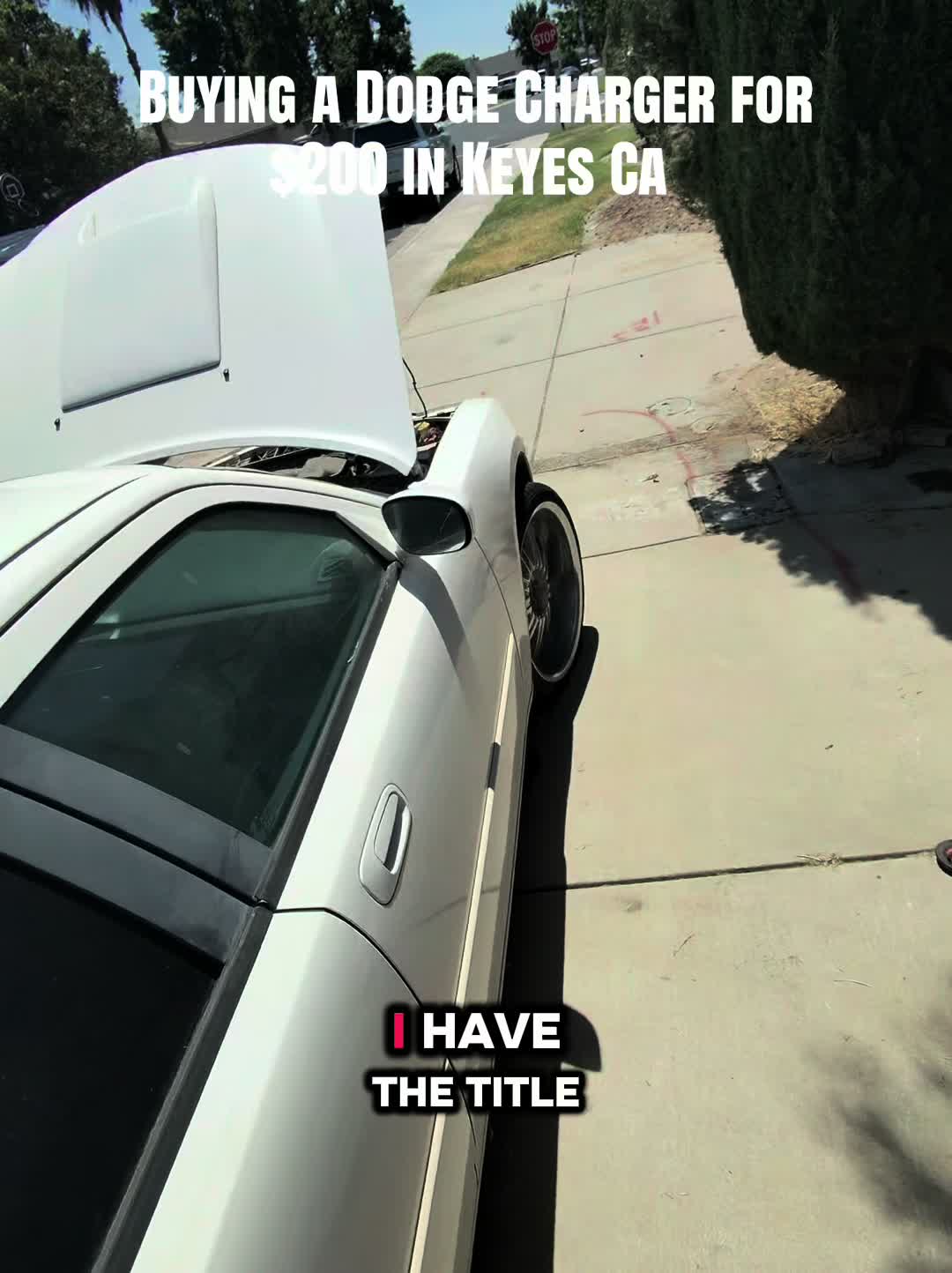 @junkyard_jose