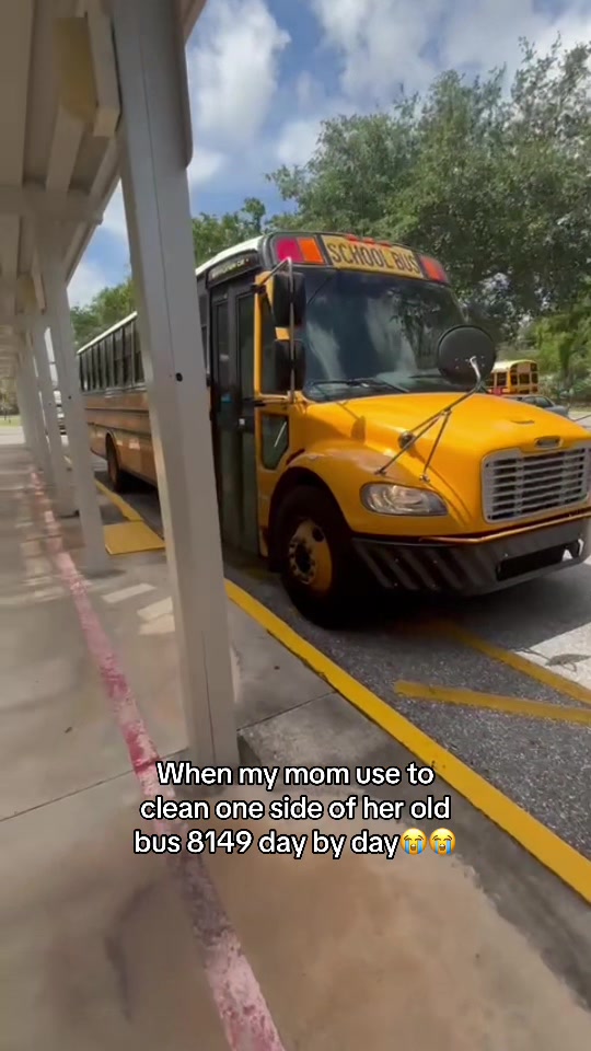 @palmbeachtransportation