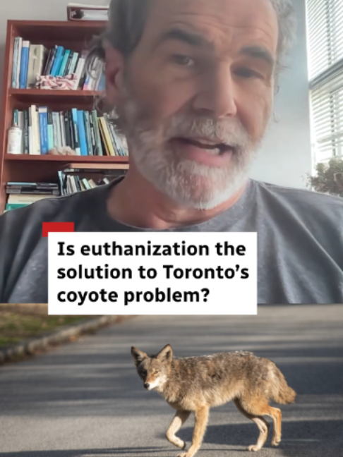 @CBC Toronto
