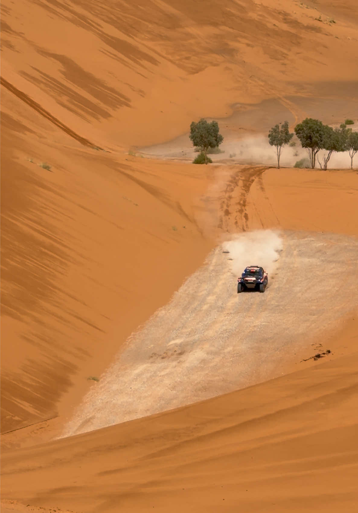 @Merzouga Globe 🌎