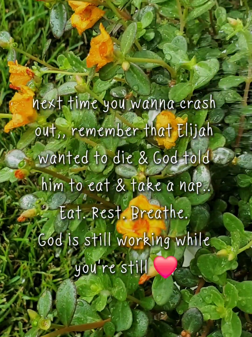 @CrayzHottie✝️🌻❤️