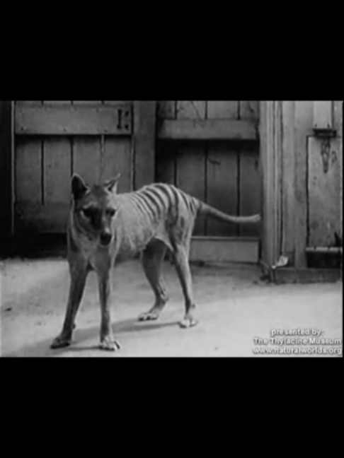 @Extinction Cometh