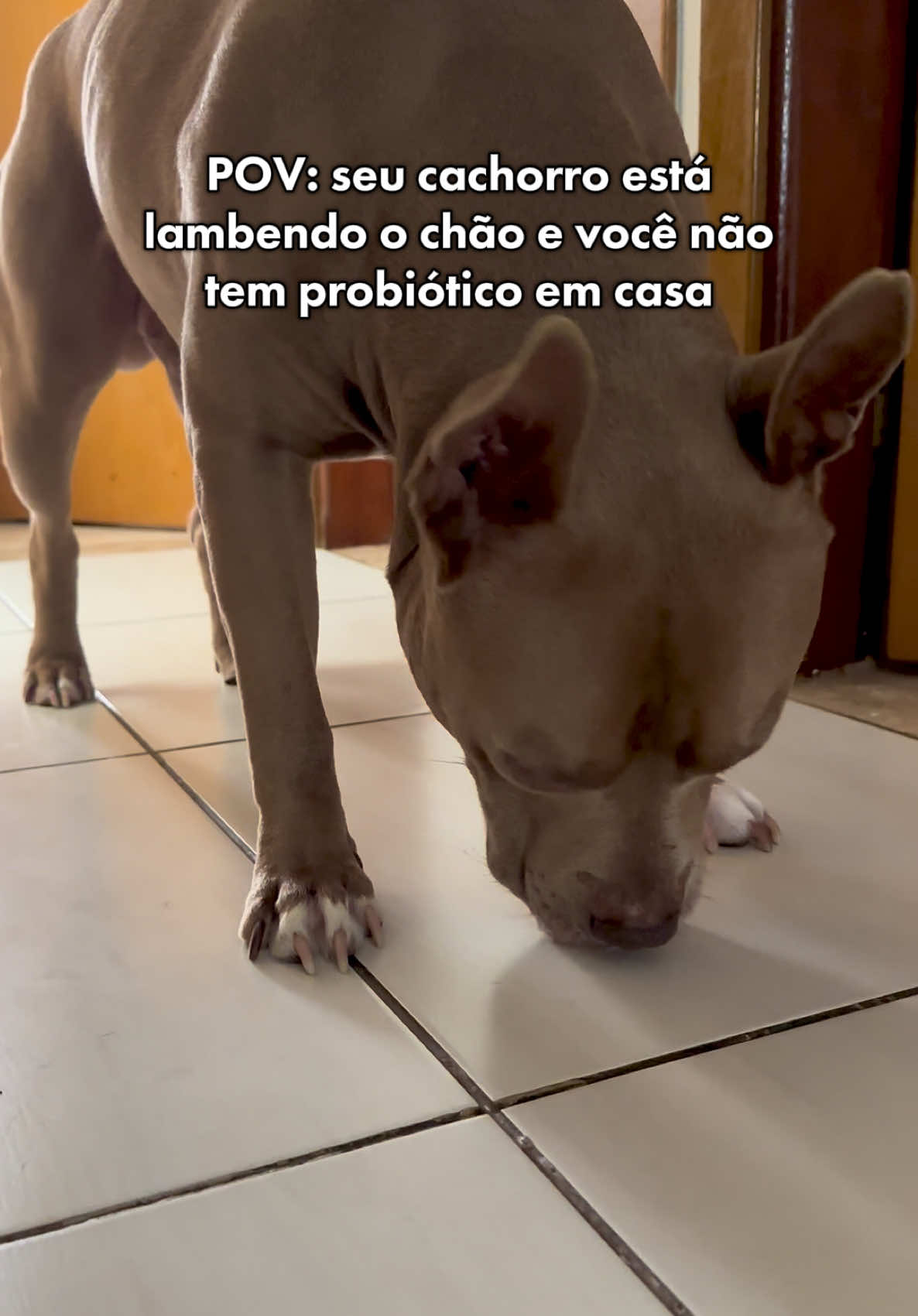 @tutoradobuda