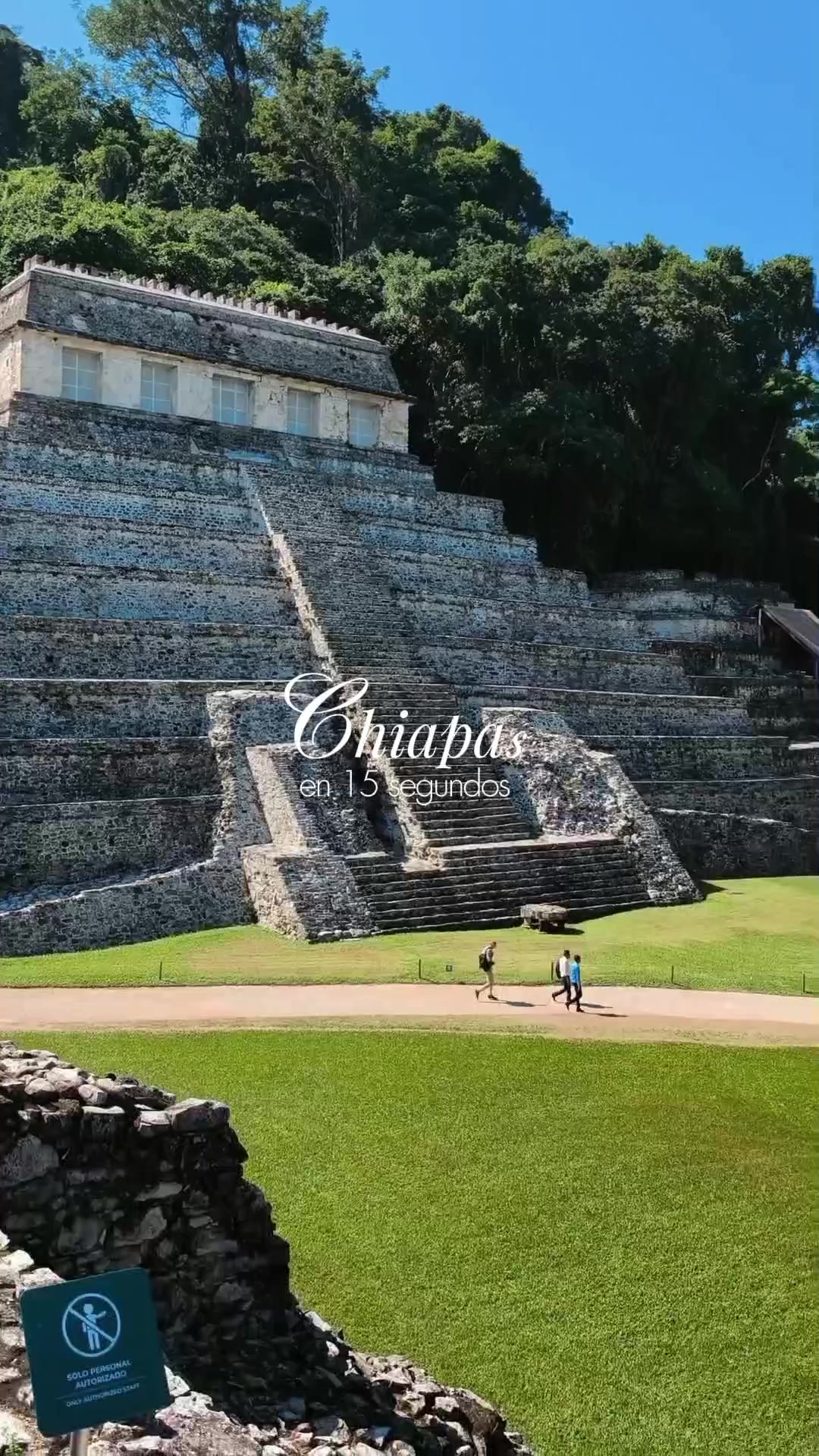 @México Traveler