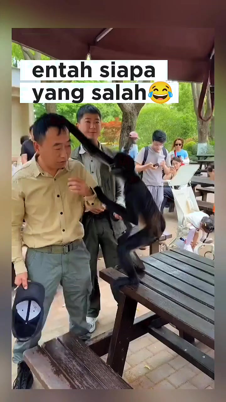 @Kapten Oyen