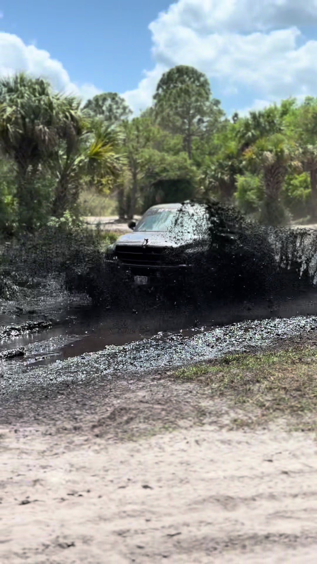 @Floridacrackercreations