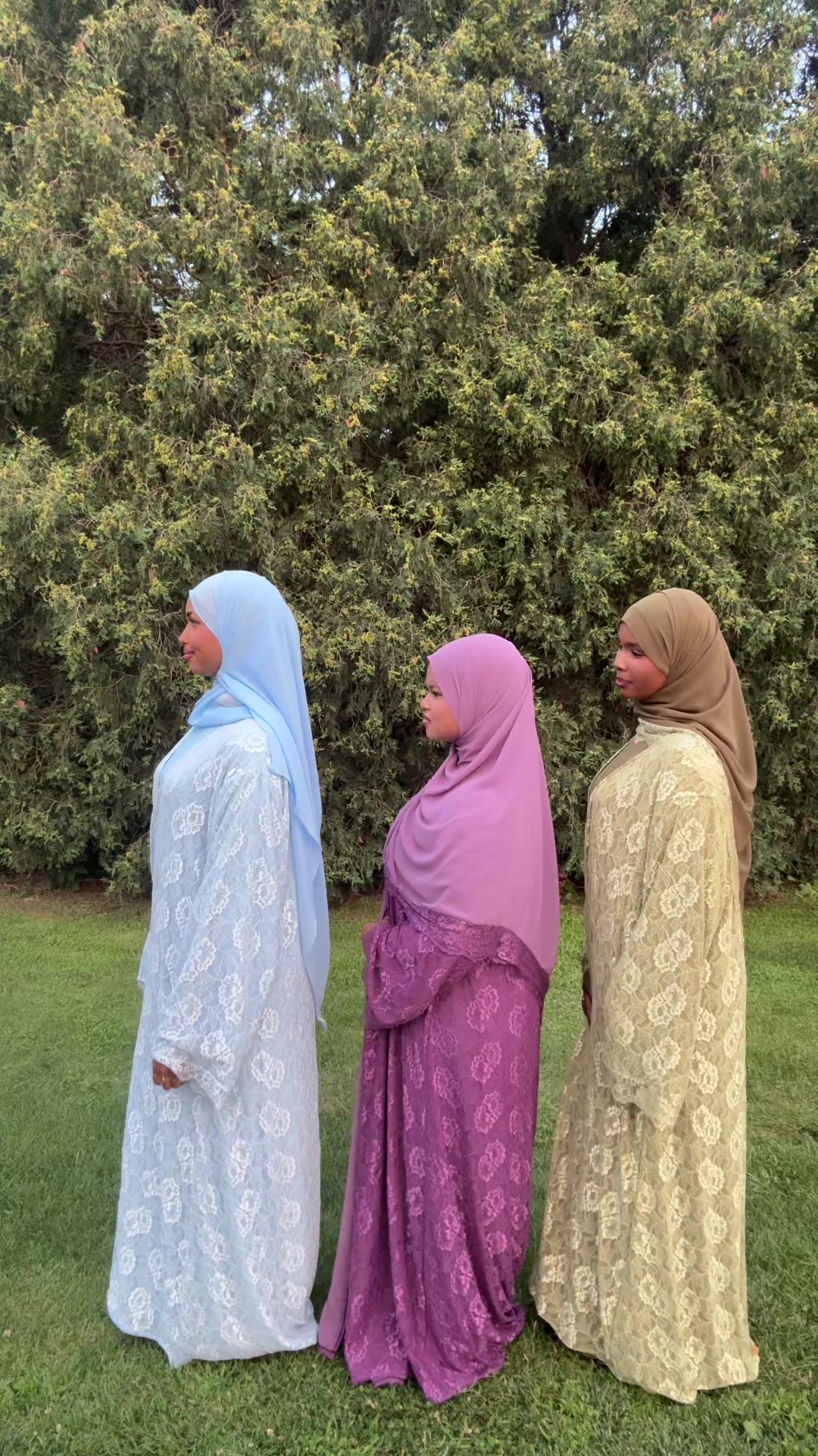 @nabad collection