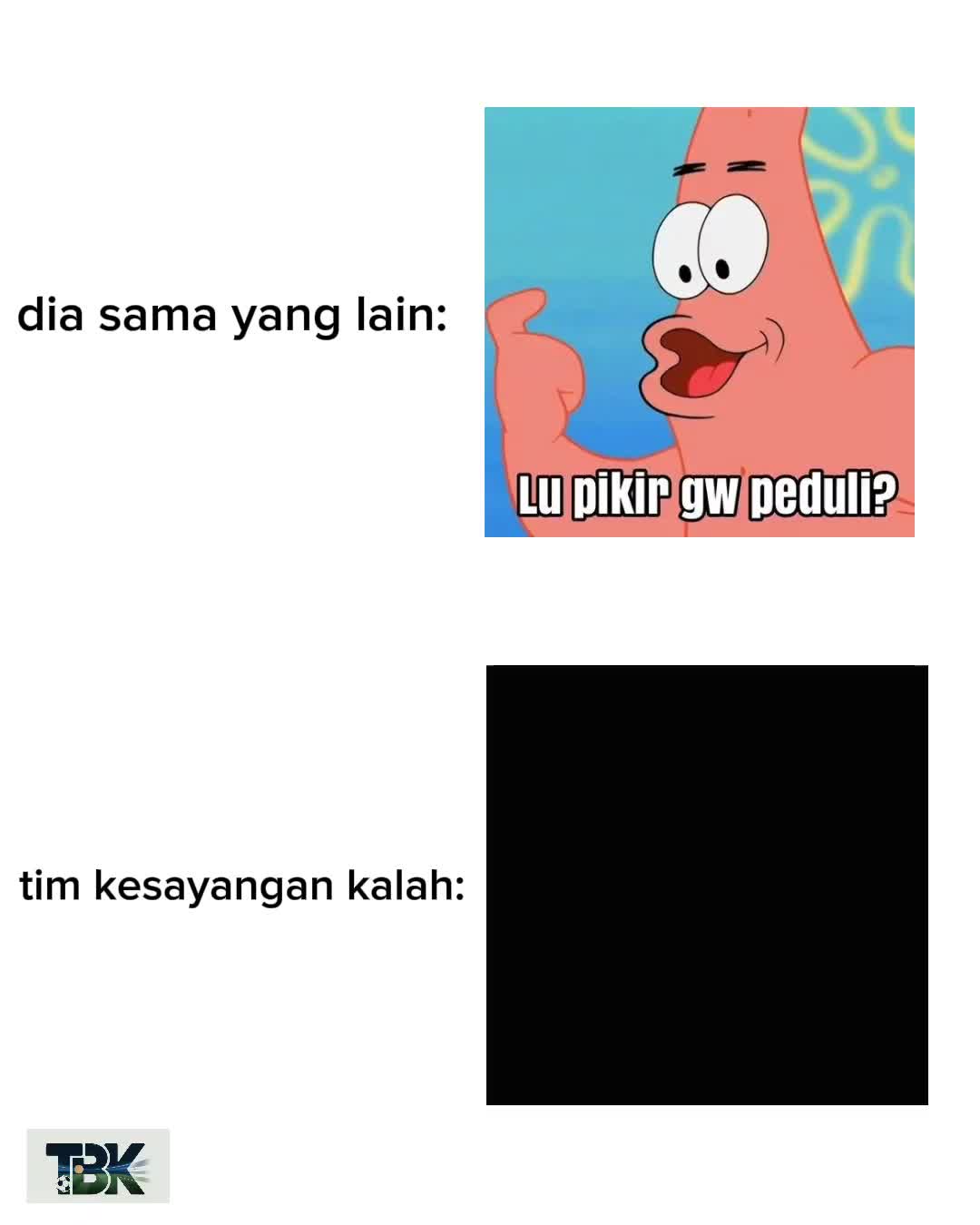 @sapi terbang