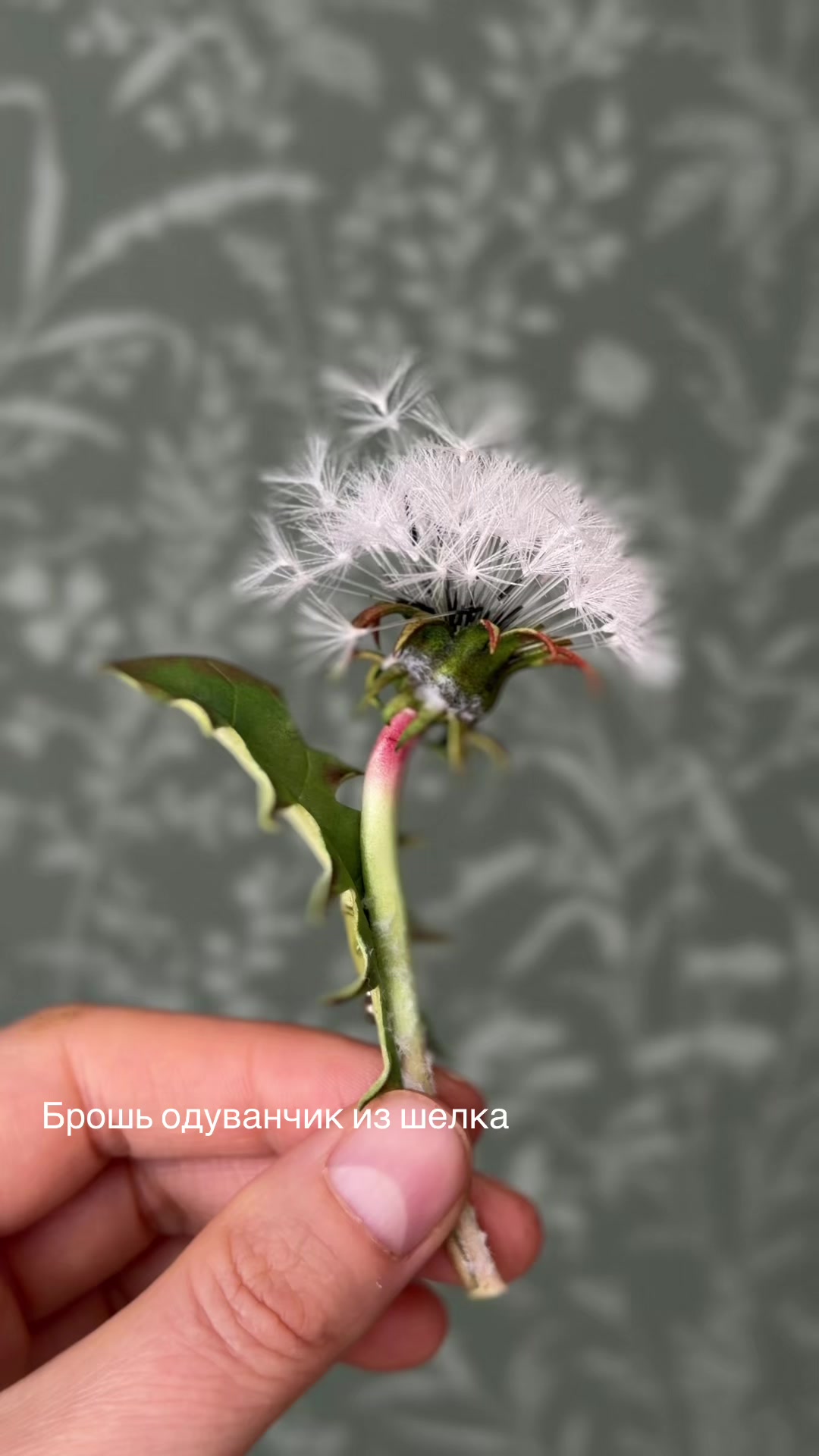 @tanya_forest_flowers