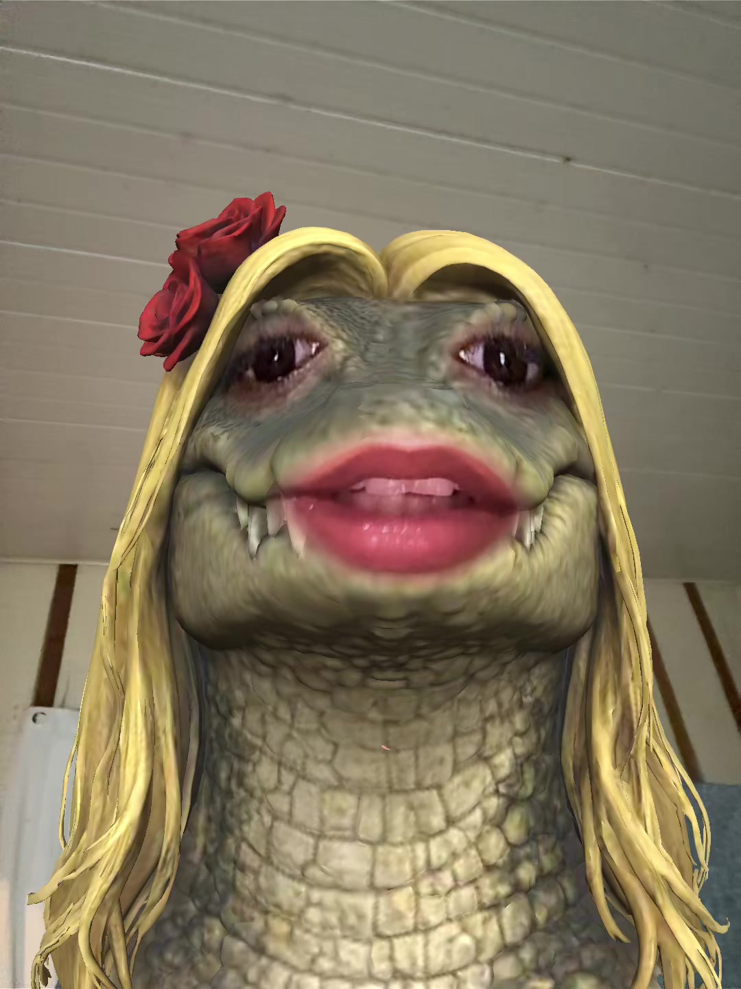 @cuca_da_mata