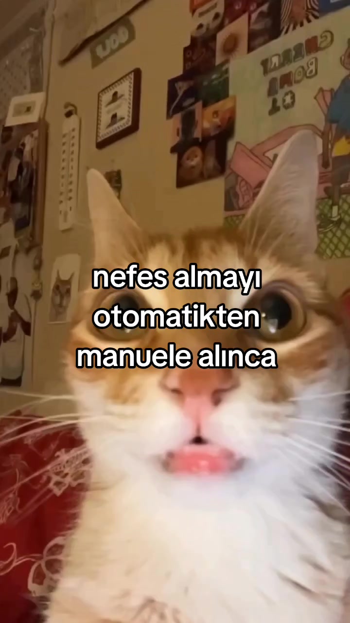 @rolland
