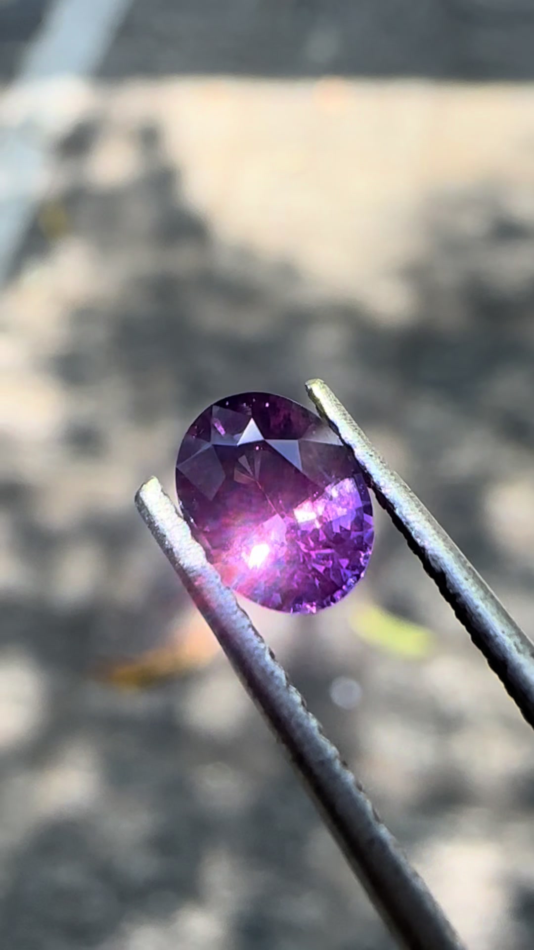 @Ceylon Gems Diary
