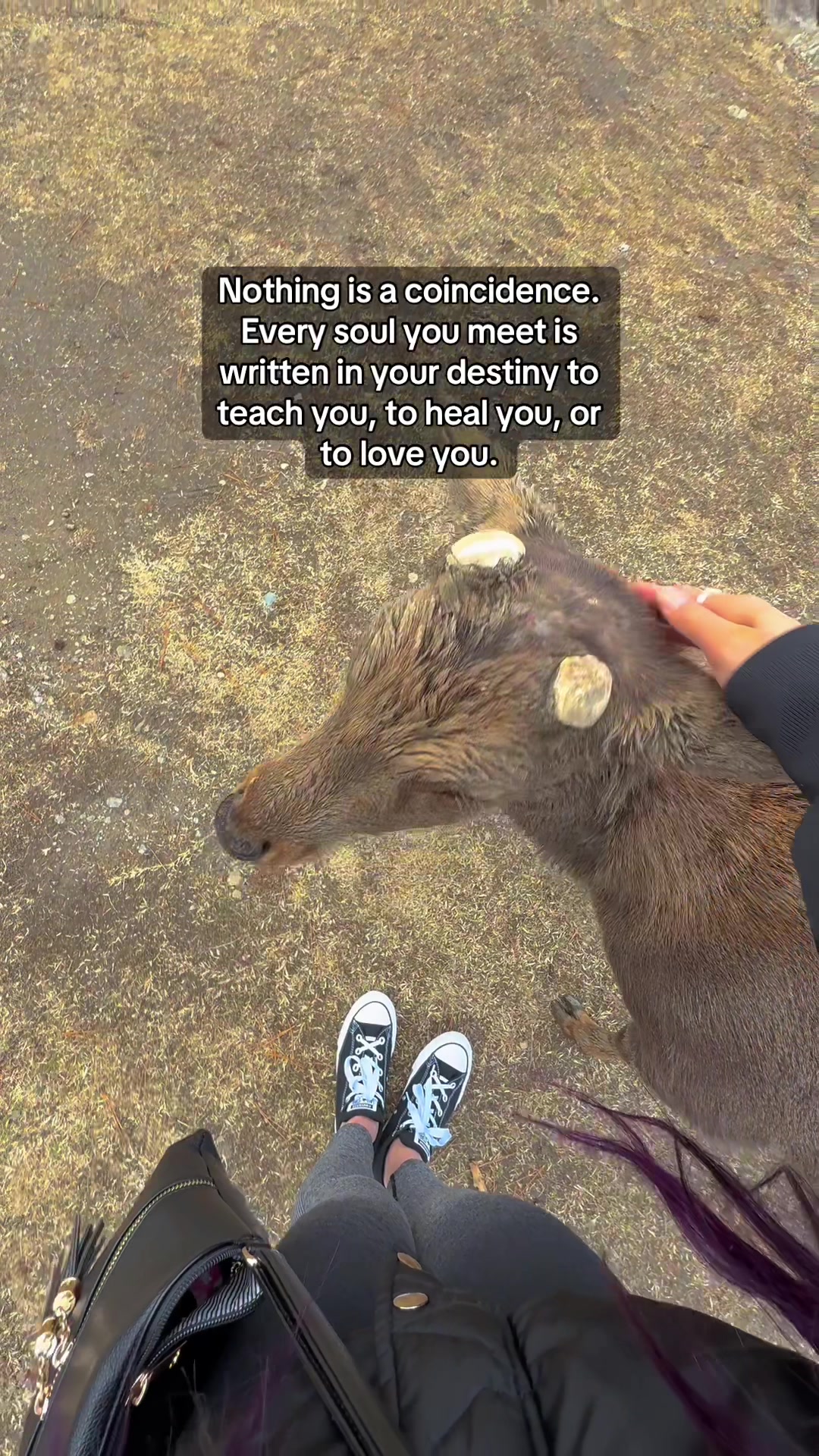 @HolisticHealingThoughts