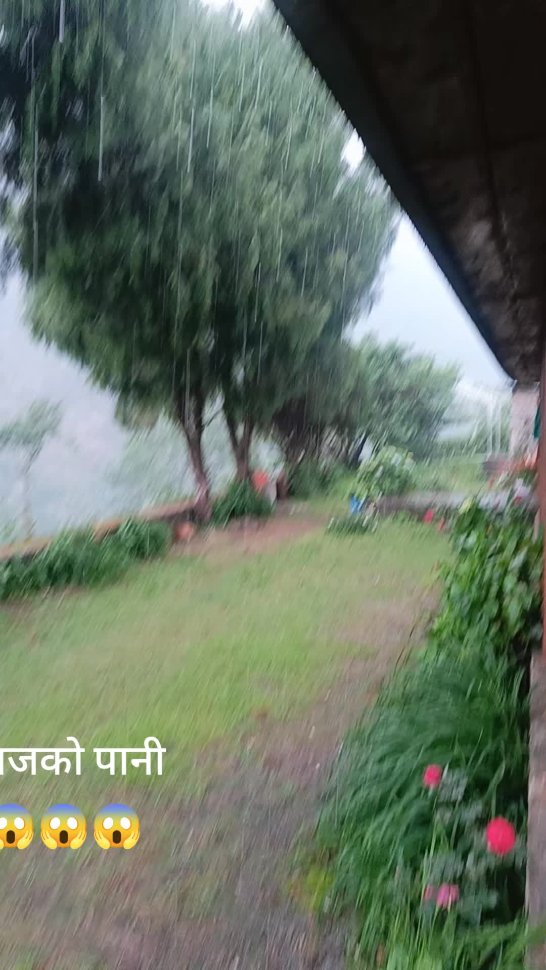 @Grganita97