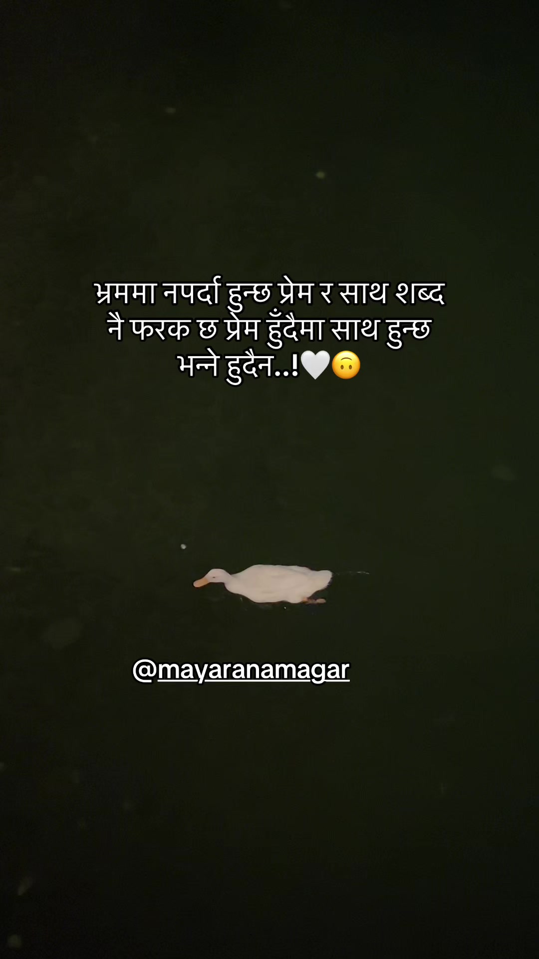 @mayaranamagar555