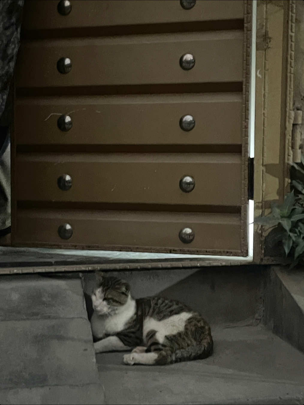 @جنت