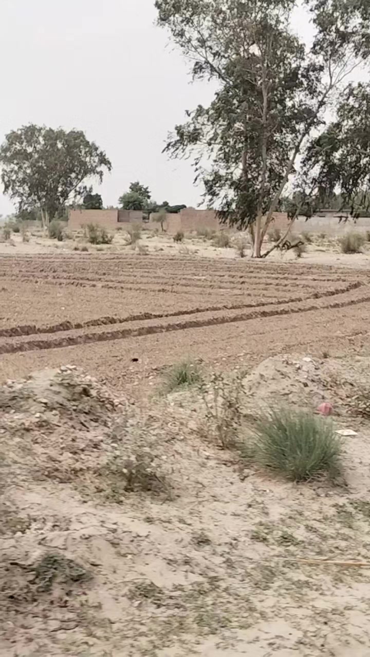 @ziddi_larki825