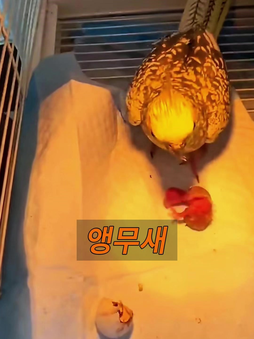 @삼촌Cut2025