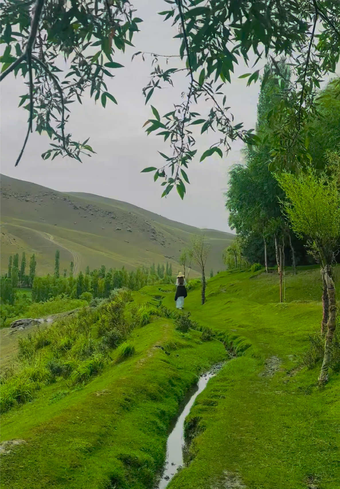 @NORTHERN EXPEDITION.pk