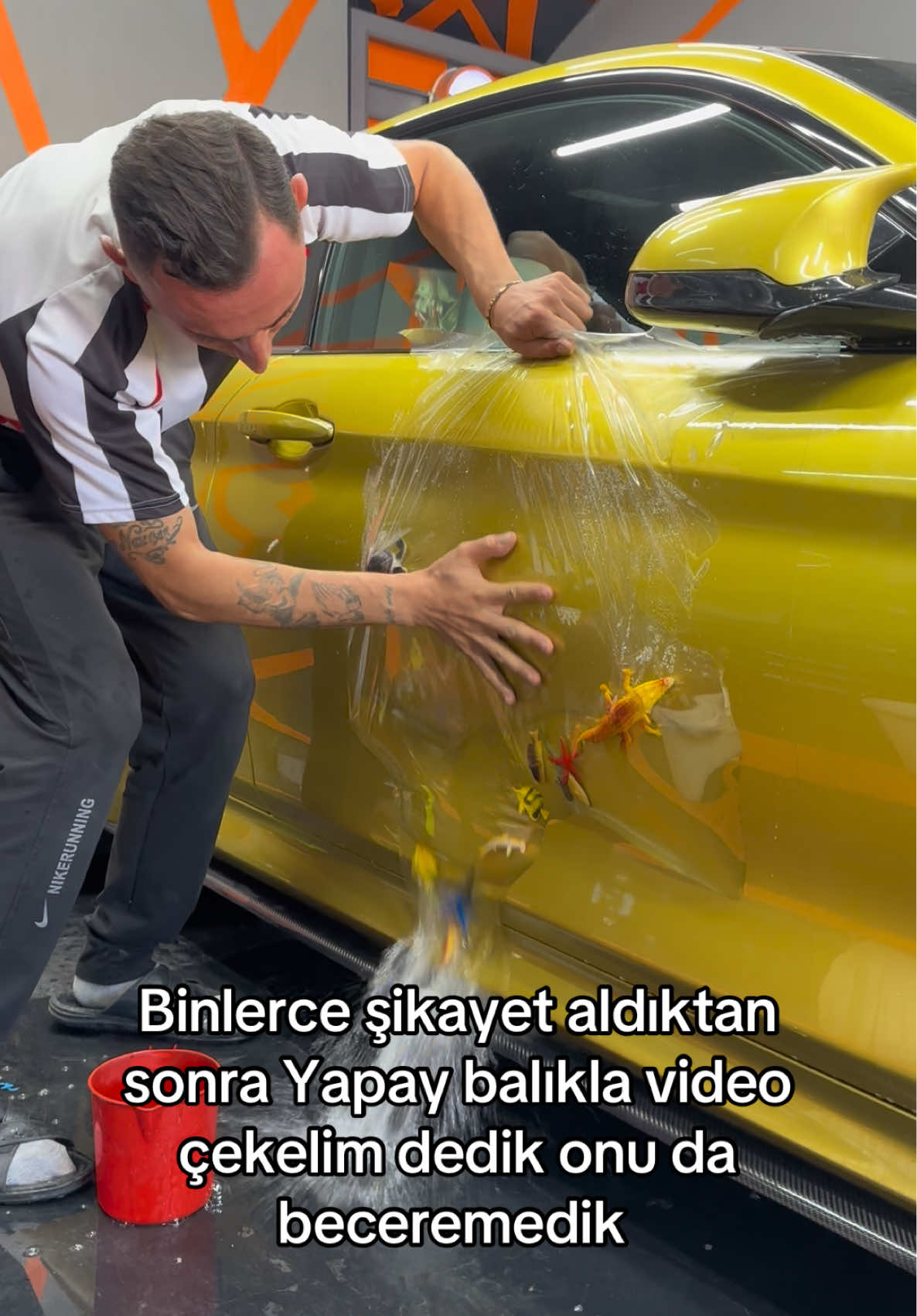 @mcanpatirr