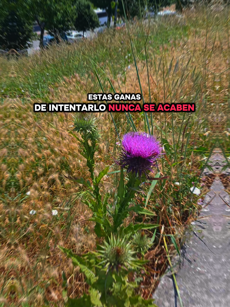 @𝙉𝙞𝙣𝙛𝙖 🦋⃤