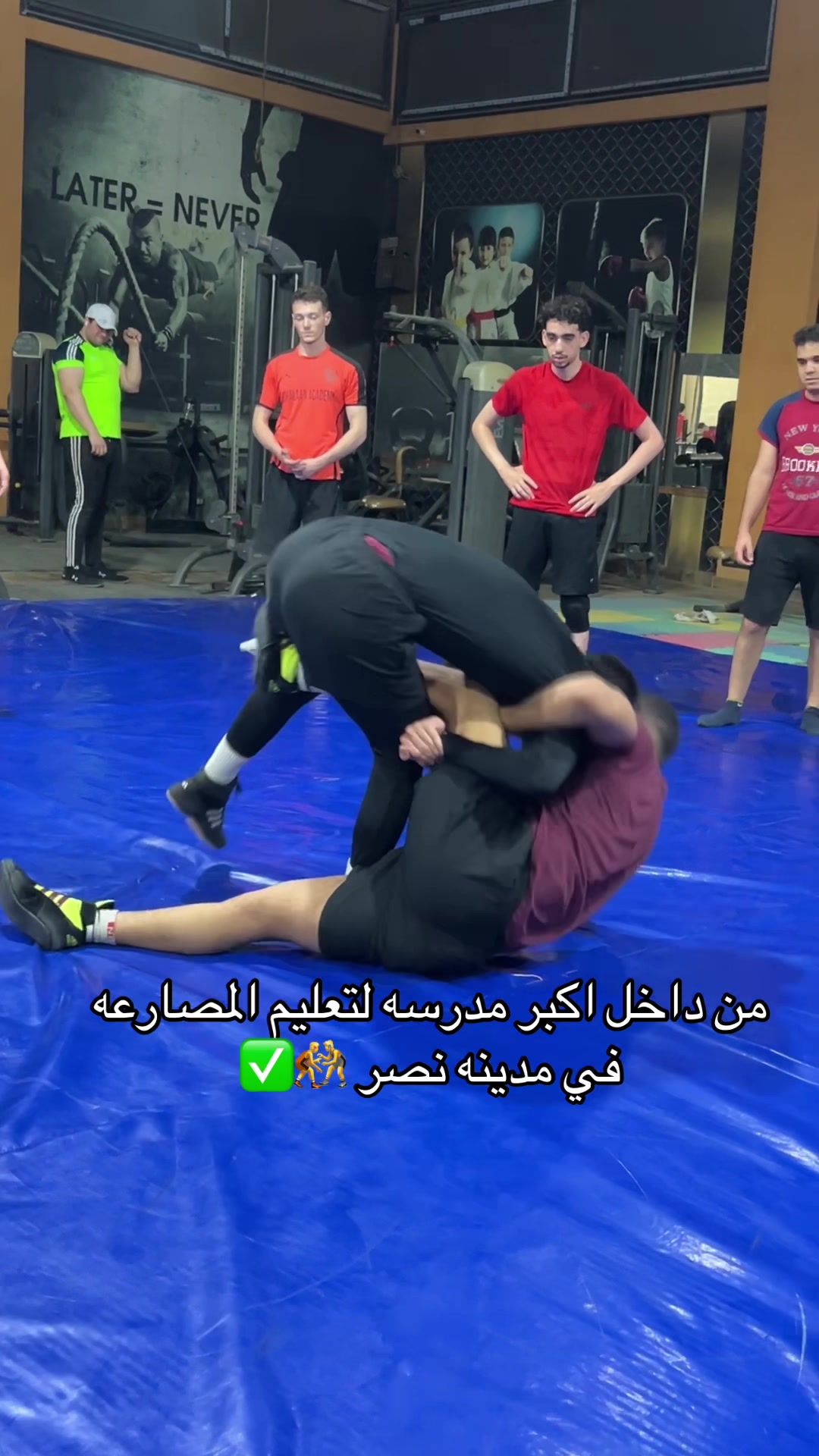 @zoghpe masr☝️🦍