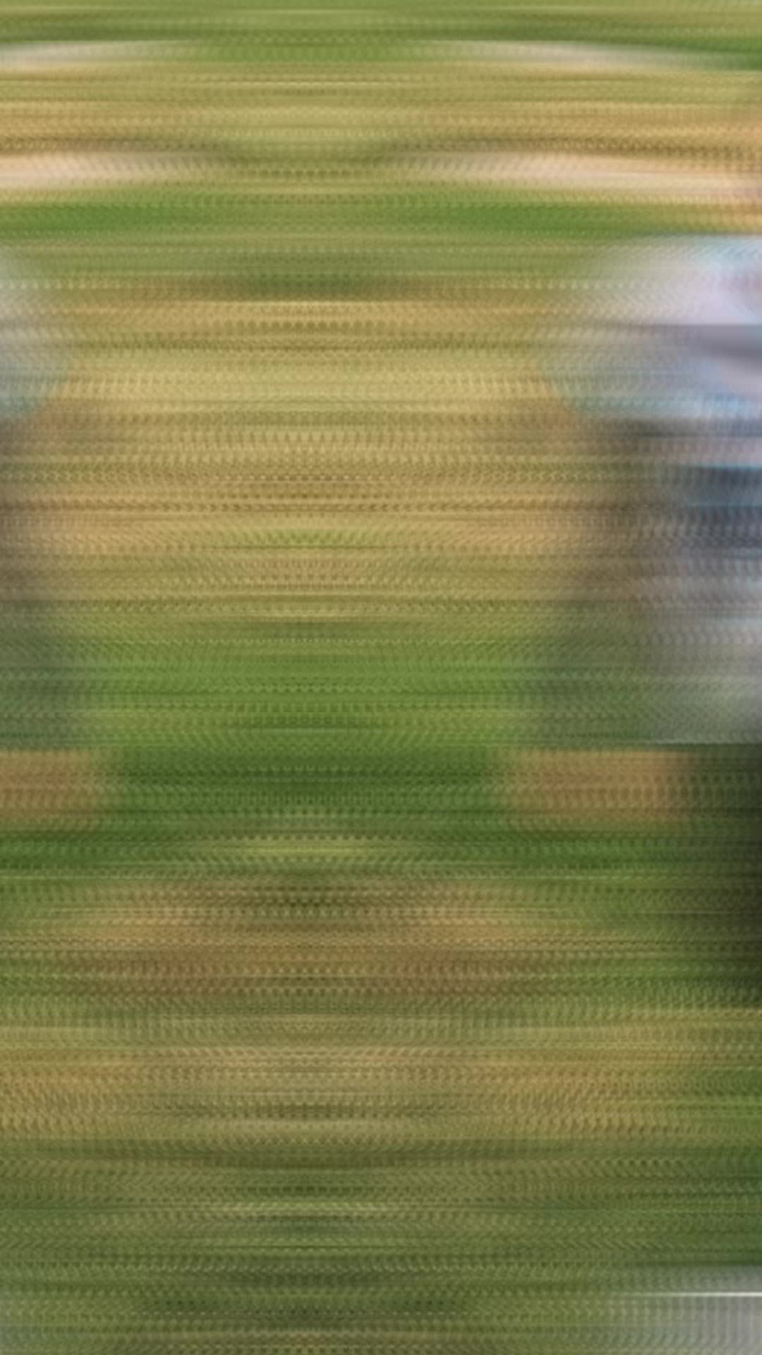 @Sophie Ibarra
