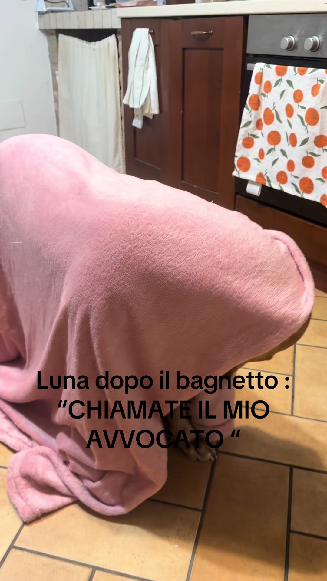 @daria
