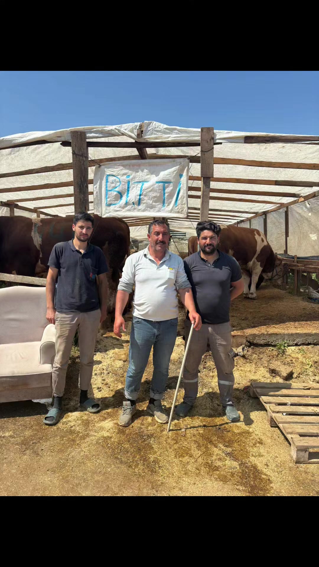 @Taşdemir besicilik