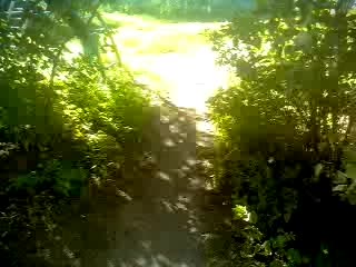 @ТГК: ks_xex_uni | 𖦏𝕶𝕾𓆪