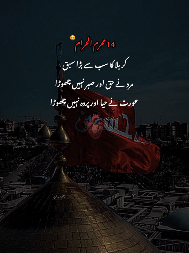 @hussaini vibe