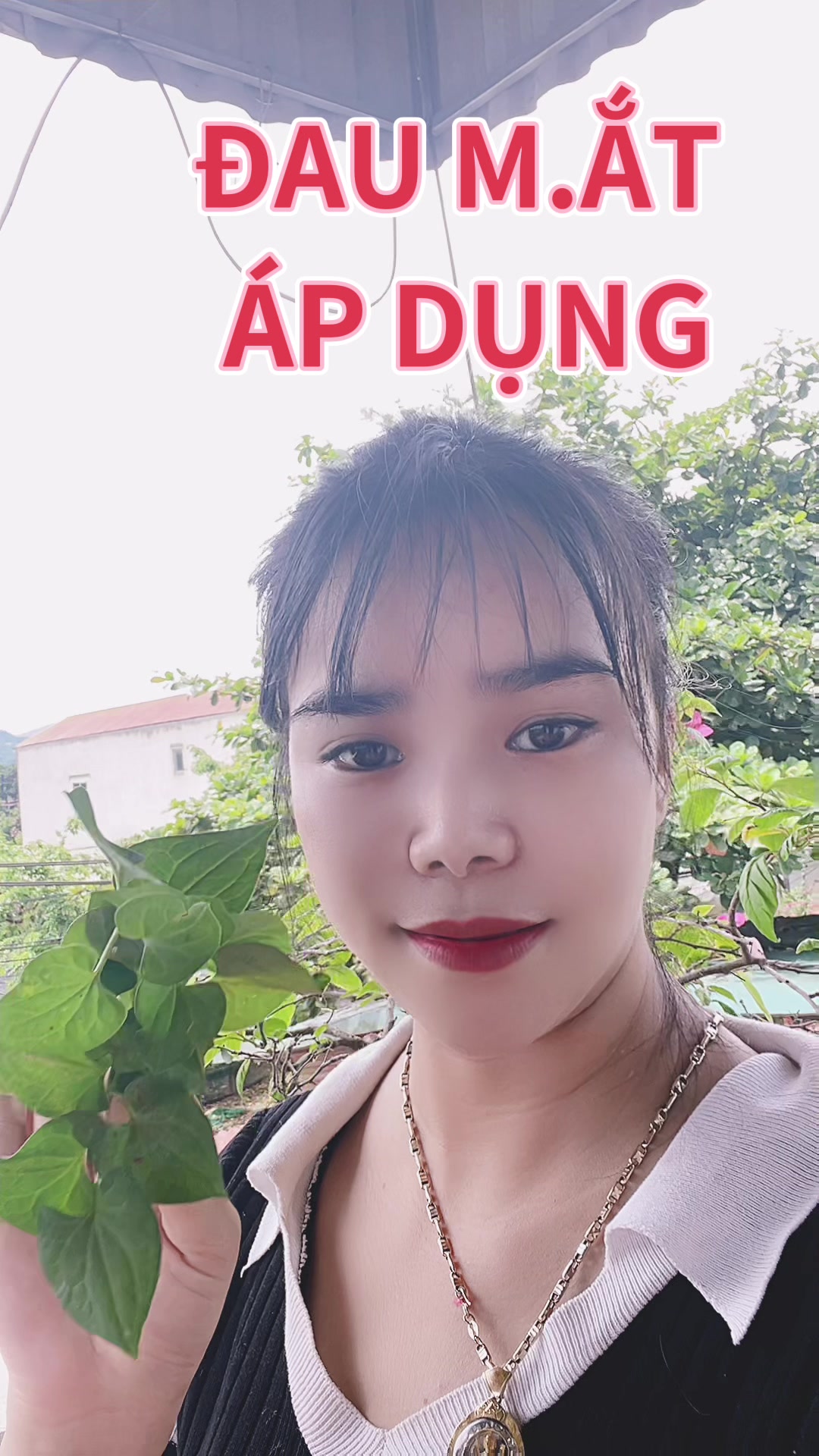@HTX NGỌC CHINH YB