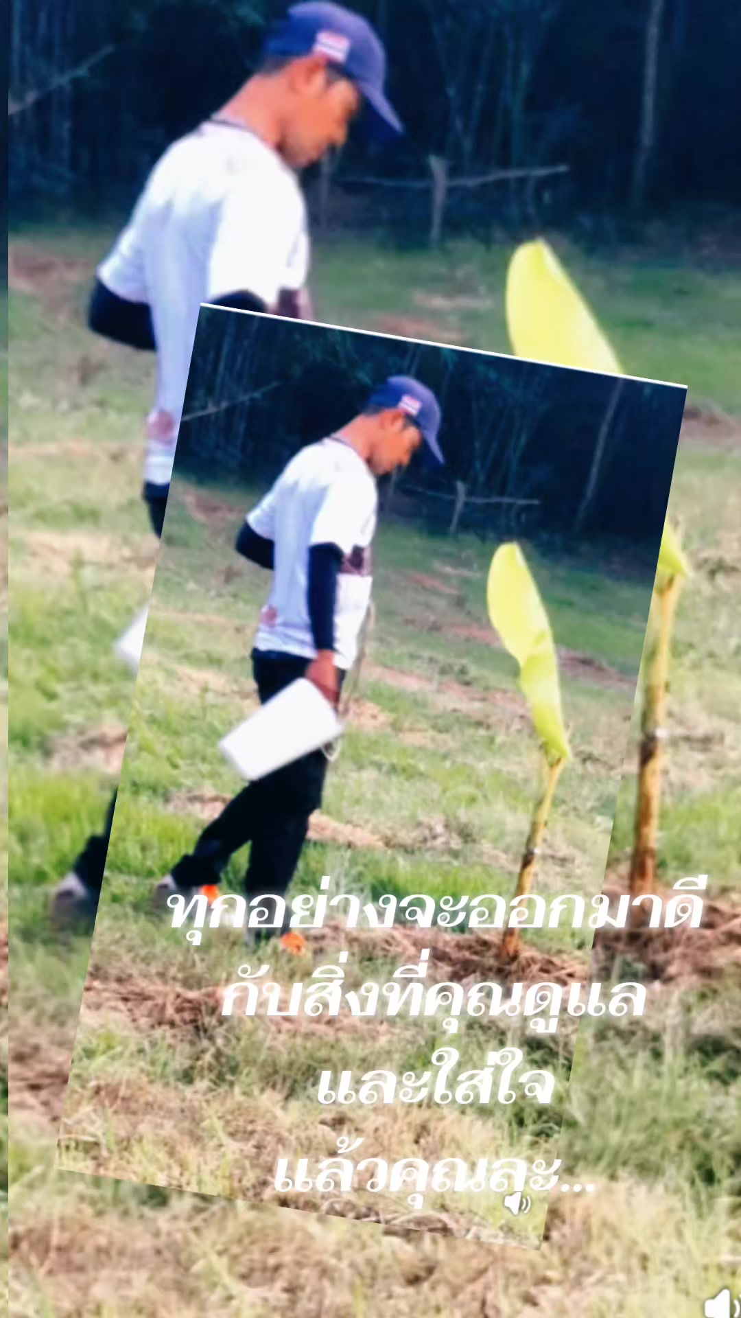 @sirirut