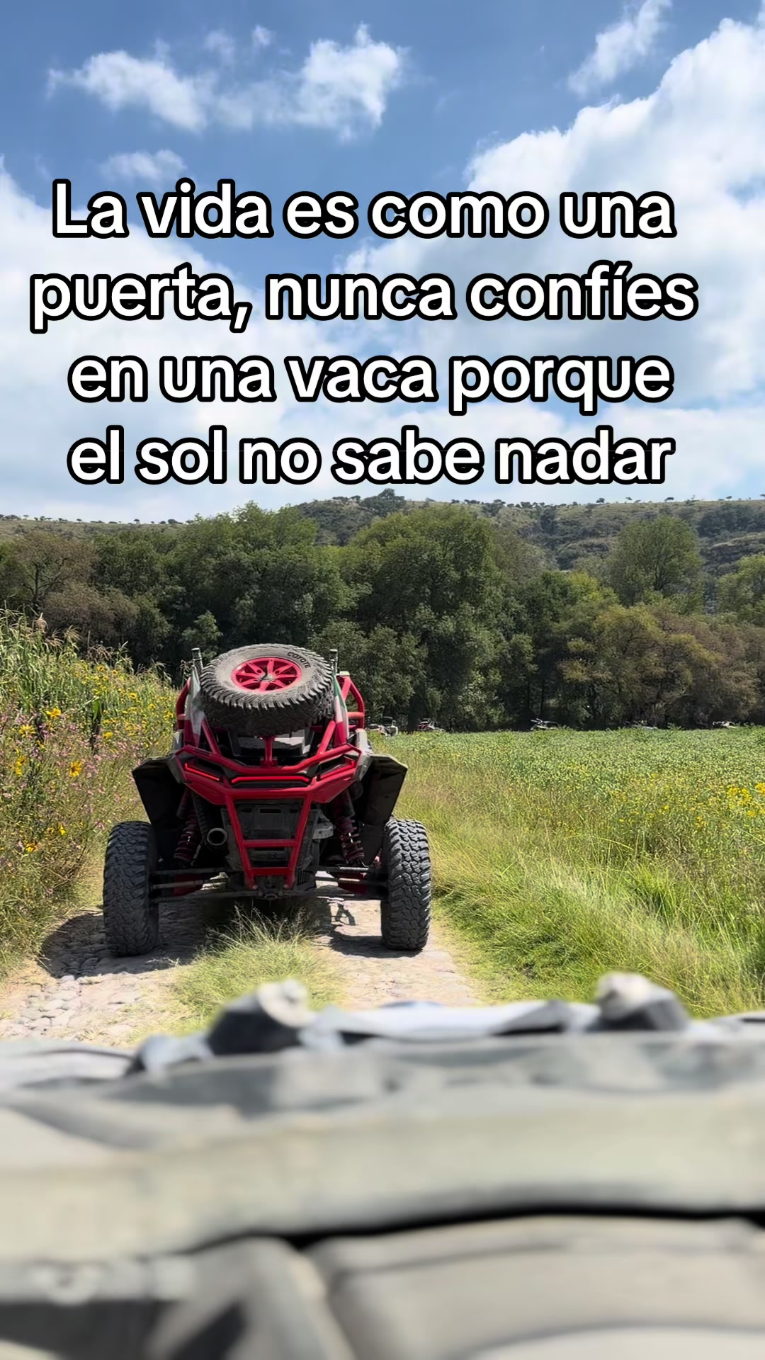 @Él calaco