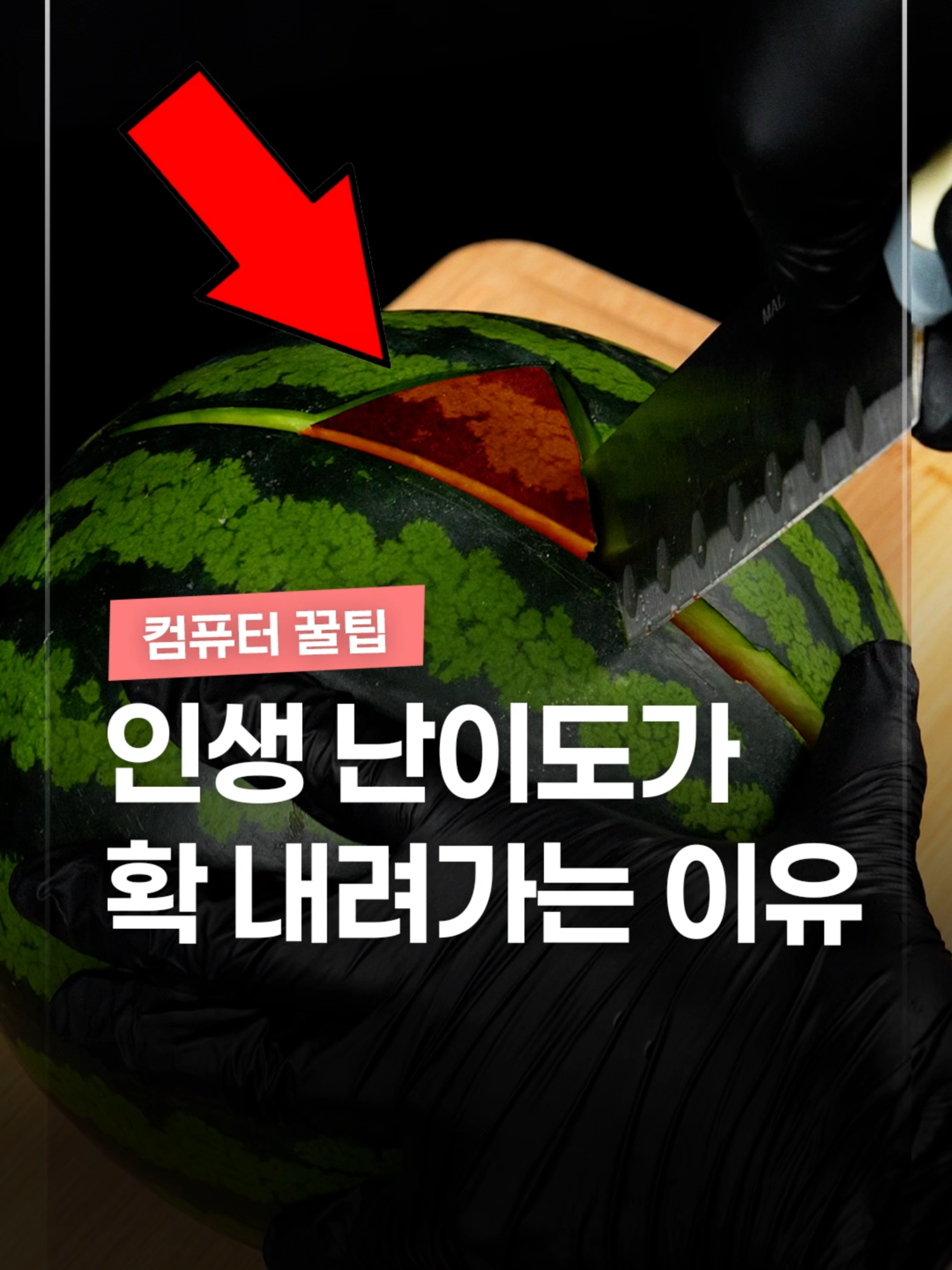 @짤컷