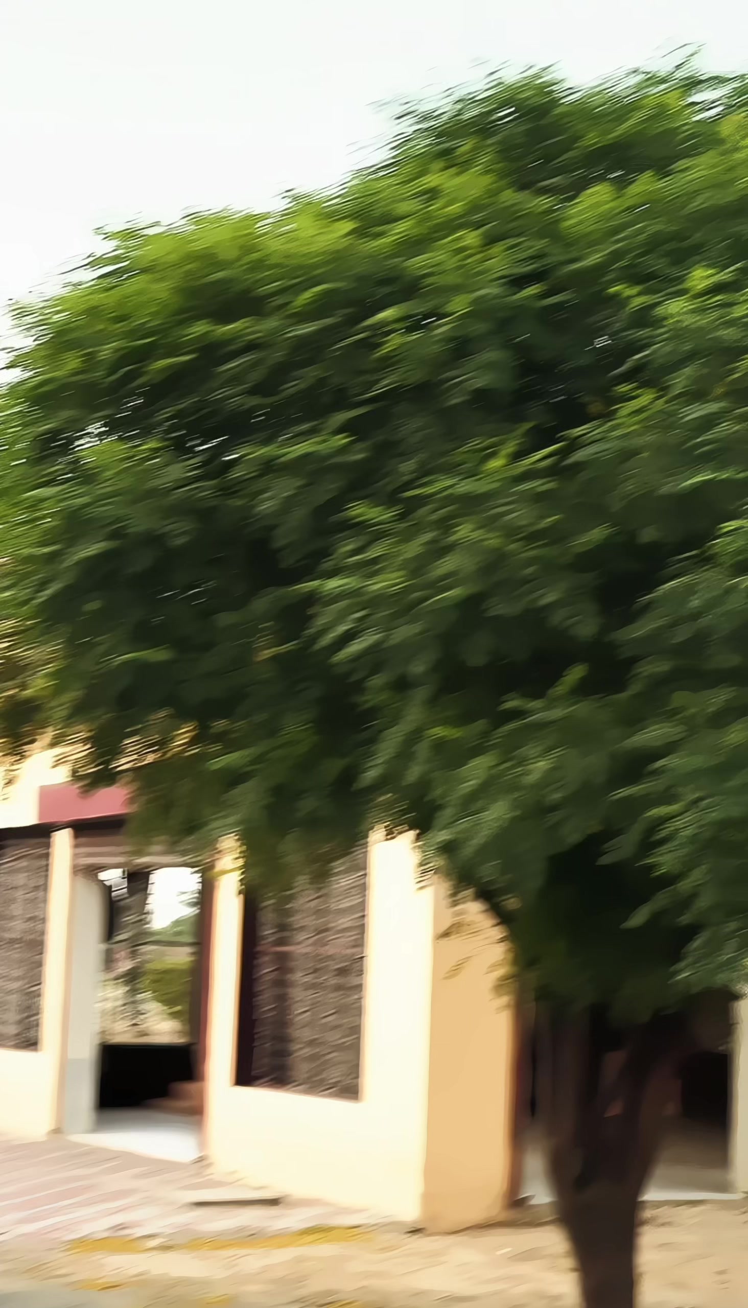 @🦅 علی 👑