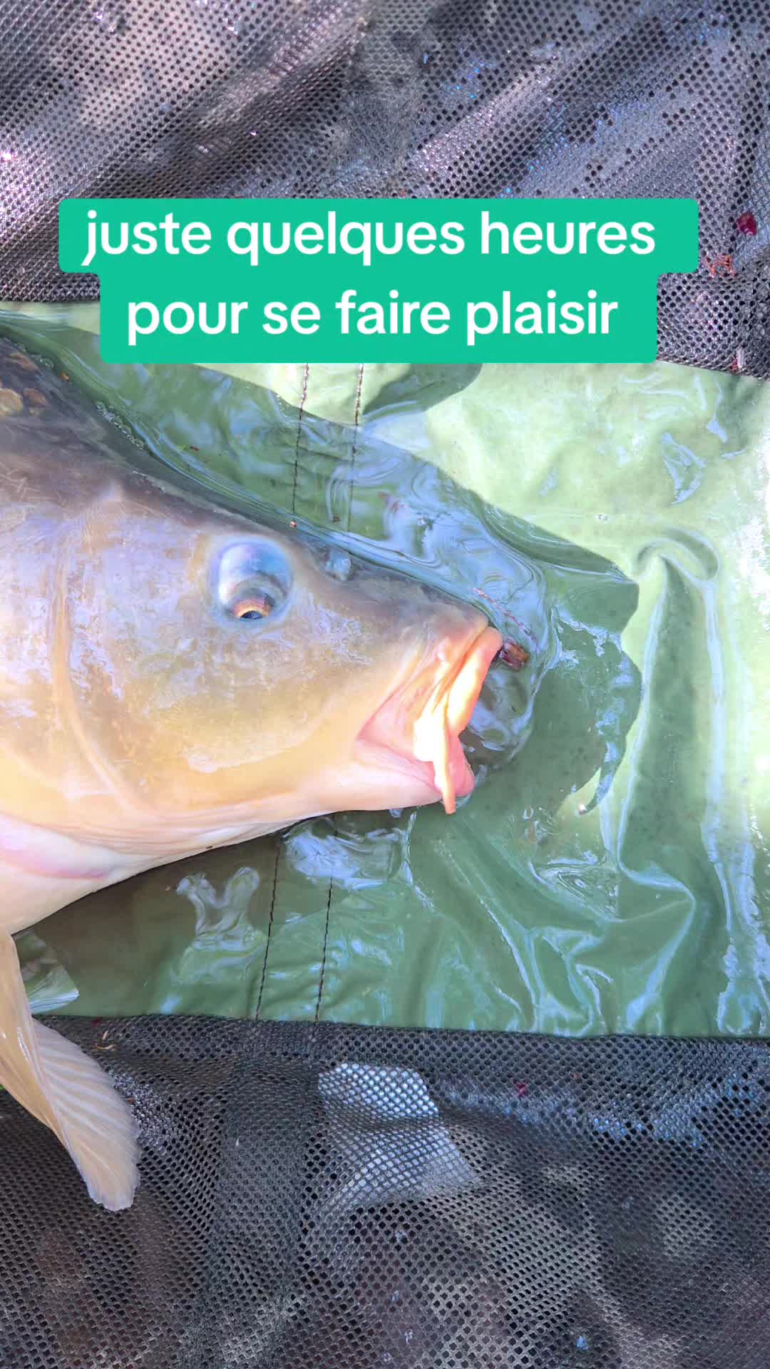 @river carpe passion