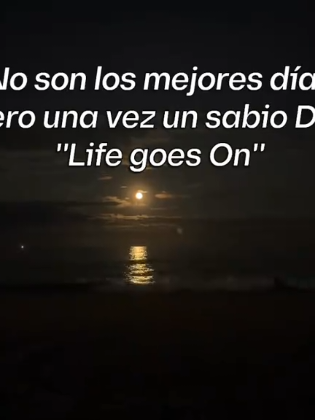 @leopm52ッ