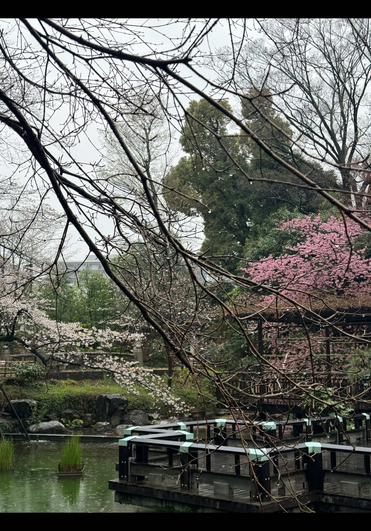 @Kavin Madhushanka 🇯🇵