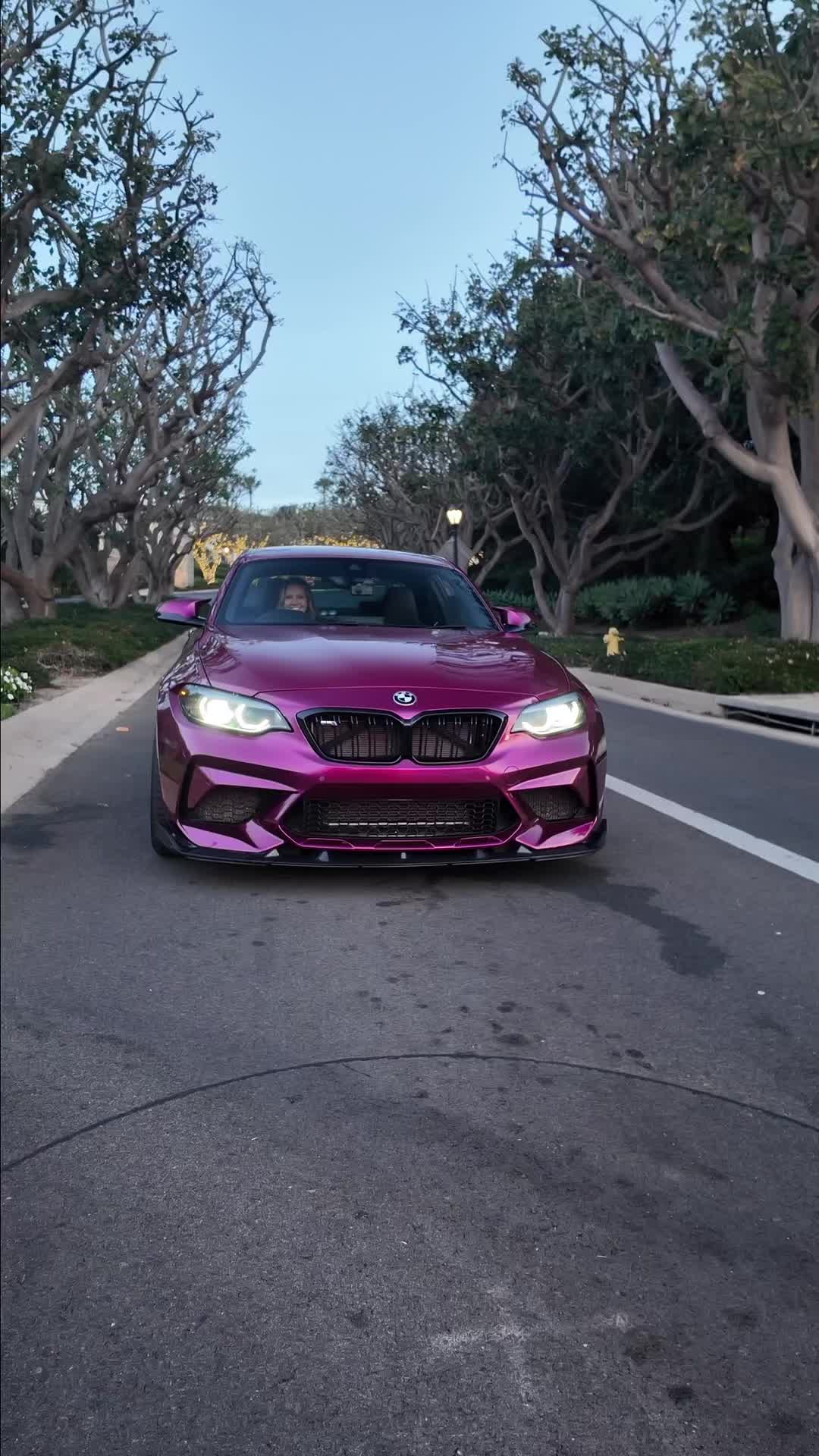 @M2Chick (Sally)
