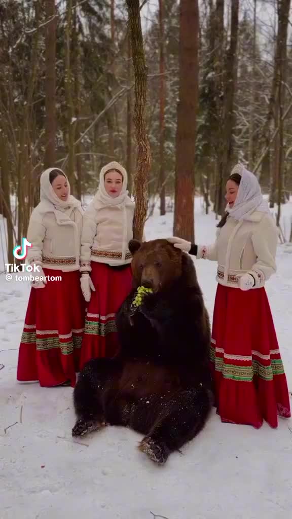@wolf