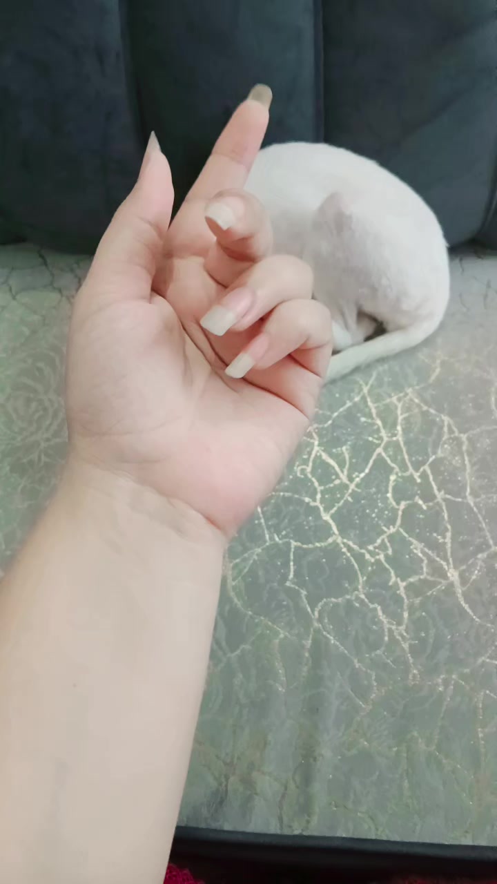 @SYEDA ZAHRA
