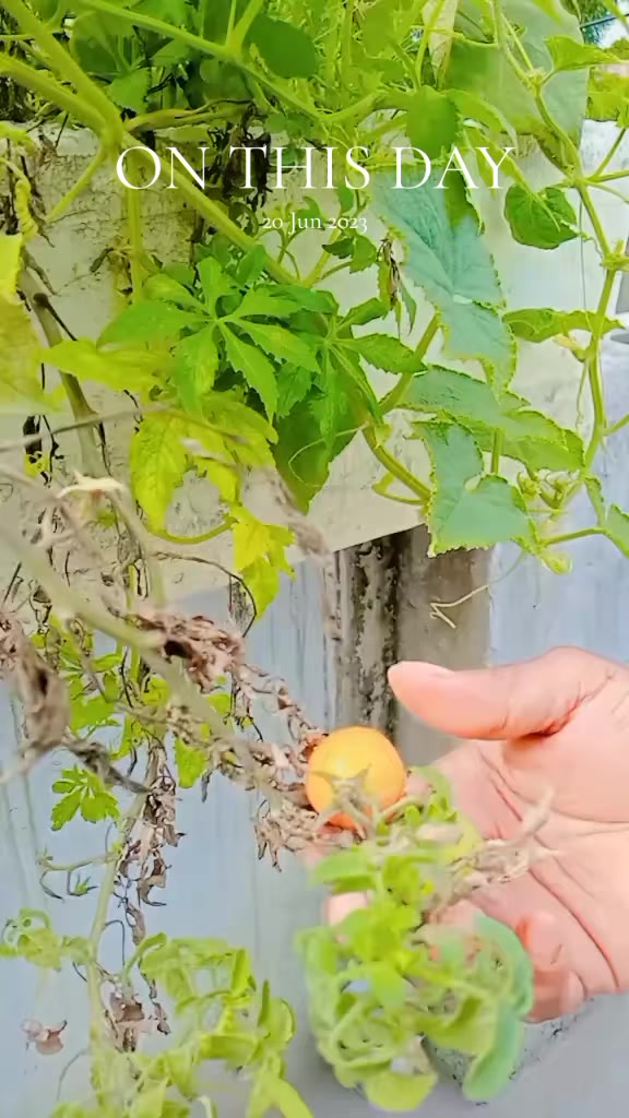 @krishnasworijati