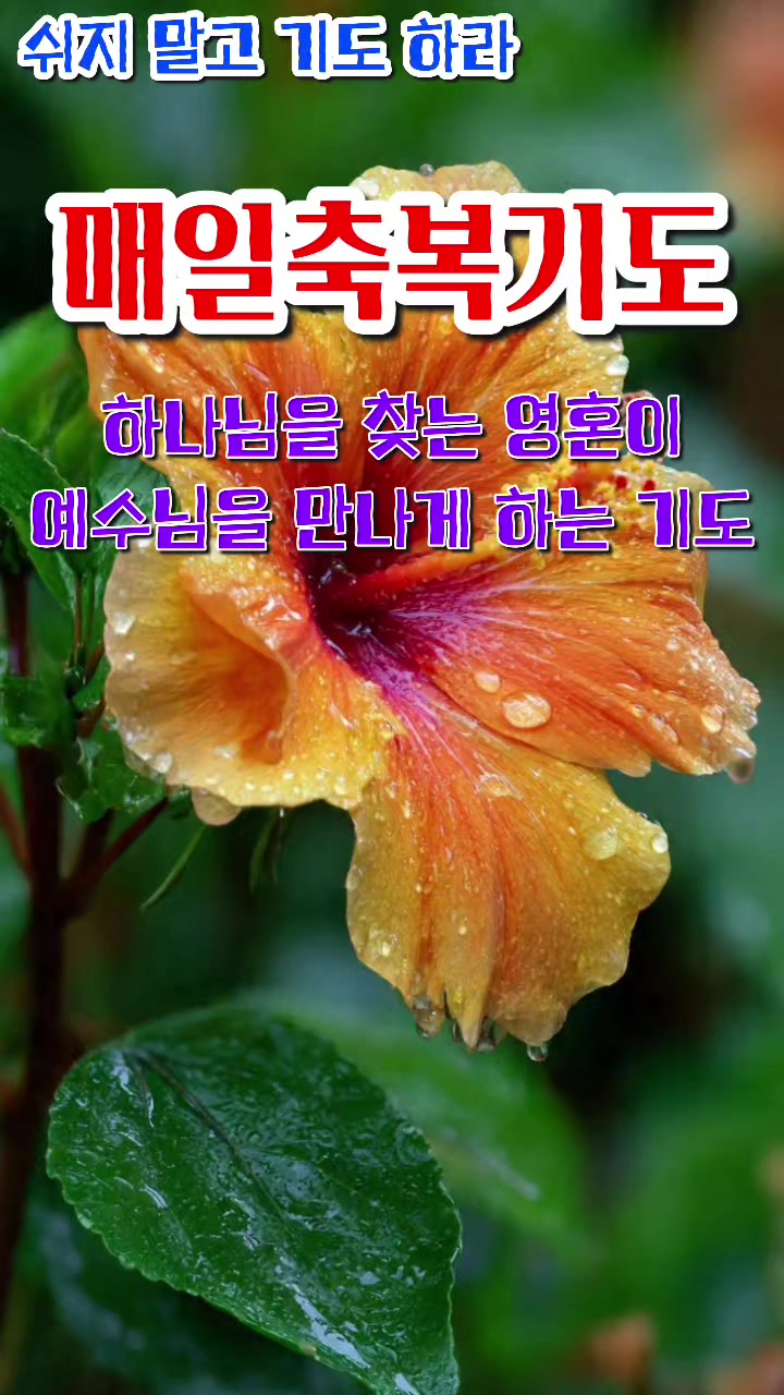 @피켓전도 김종일 목사