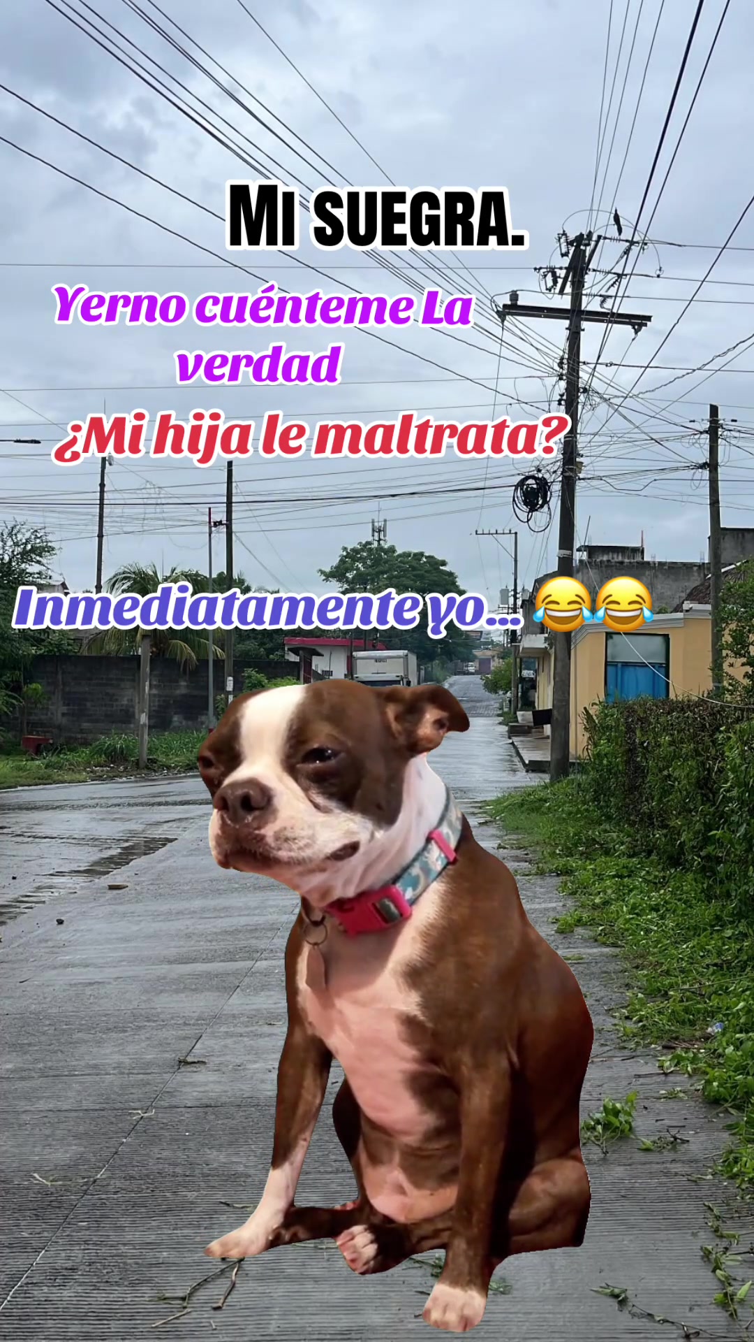 @꧁🥷🏻🦆CARLOS LÓPEZ🦆🥷🏻꧂