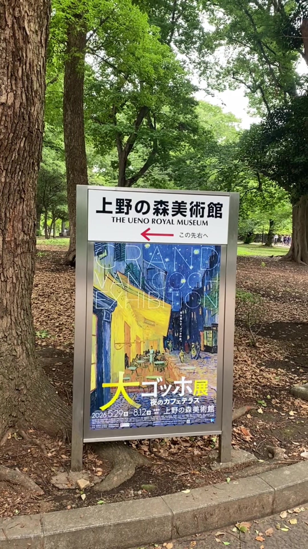 @yuanxin1010