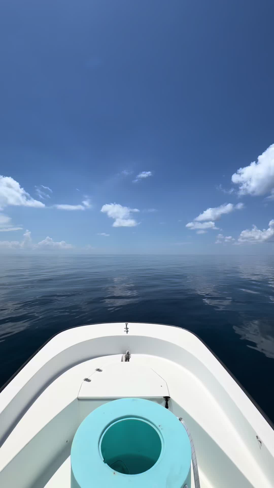 @Tommybahama_242_