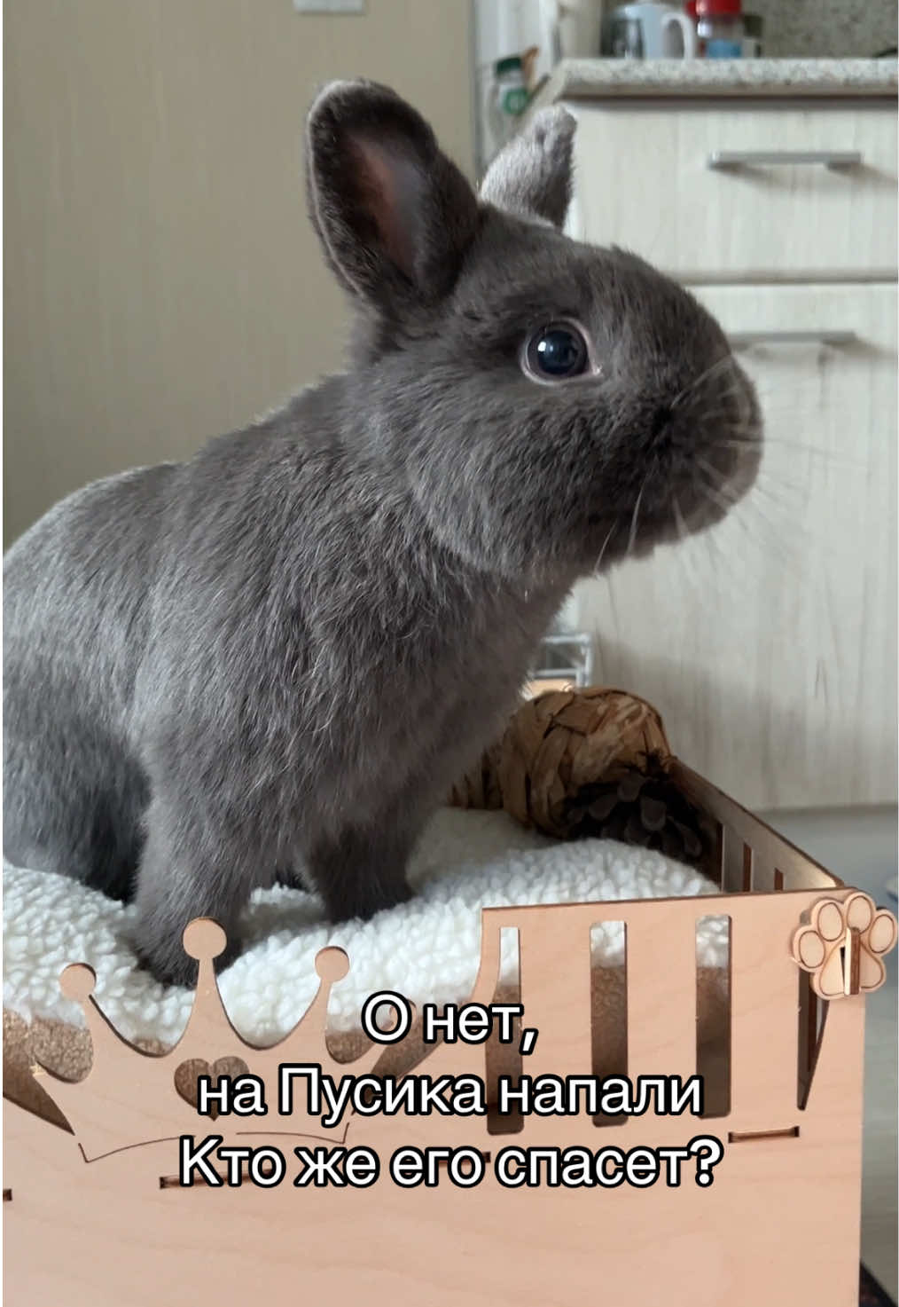 @Пусик