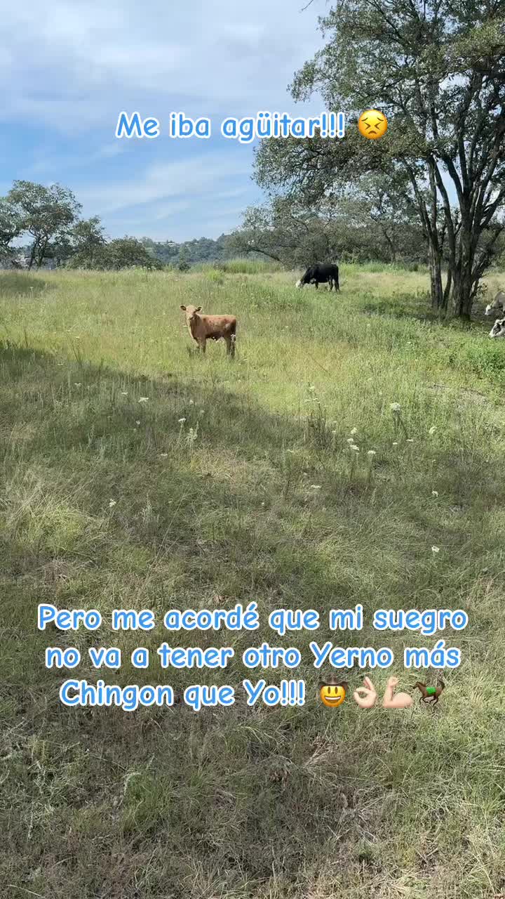 @willyjrbecerril
