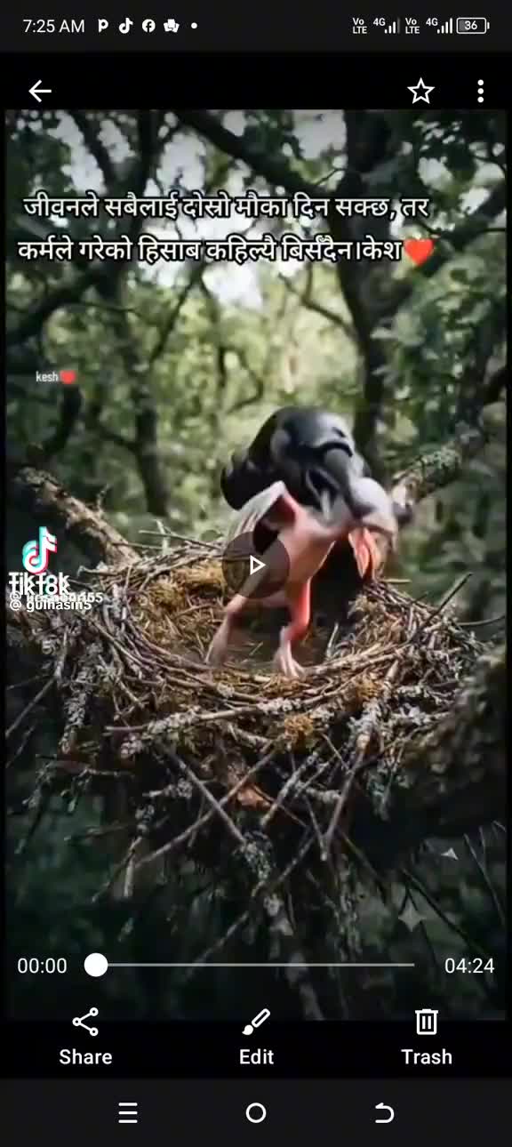 @❤️❤️عرضي سانگي❤️❤️